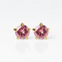 10gold-birthstar-rose-rgb Nina Birthstar Rose Altın Kaplama 316L Çelik Kulak Delme Küpesi