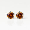 Nina Birthstar Topaz 316L Çelik Kulak Delme Küpesi