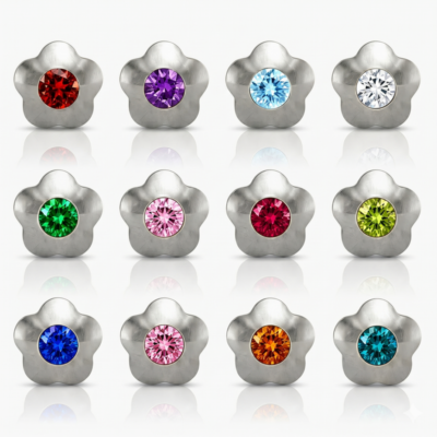 Nina Flowerlite Assorted Cerrahi Çelik 316L Çelik Kulak Delme Küpesi